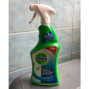 Dettol Mould and Mildew Remover