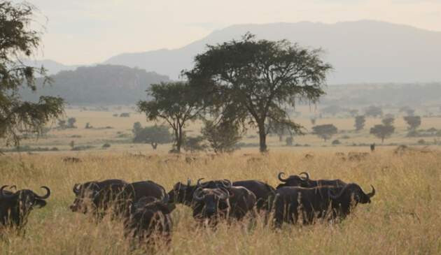 South Africa