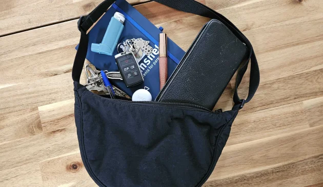 Uniqlo bag