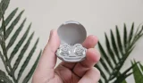 Loop earplugs