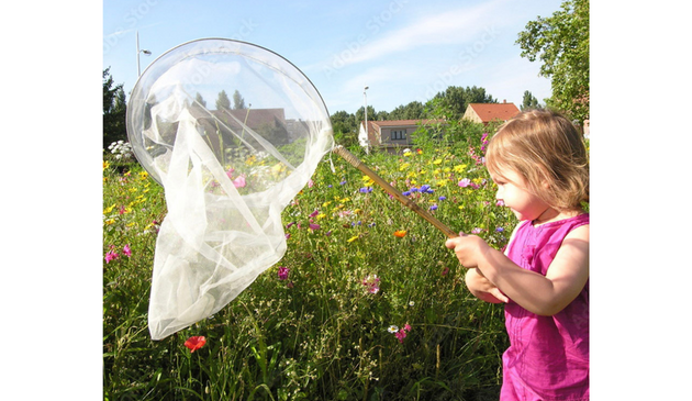 a little girl with a butterfly net in a flower meadow