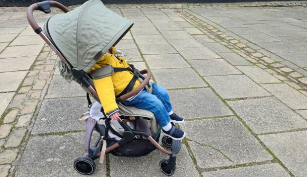 Didofy Aster 2 suits different weights up to 22kg