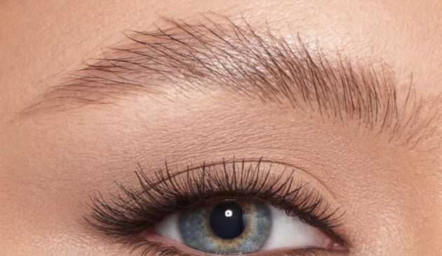 Brushed, gelled brows
