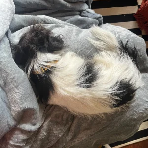 Mia & Coco Electric Heated Blanket Throw