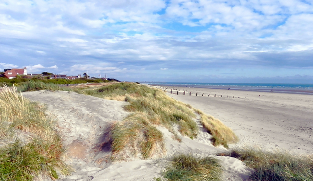the sand dunes at West Wittering beach