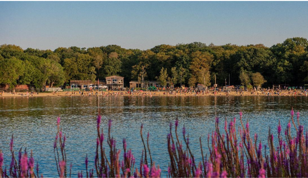 a beach on a lake with woods in the background