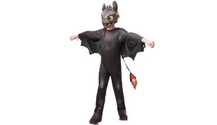 How to train your dragon