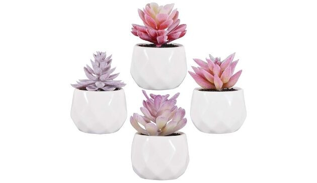 Artificial succulents