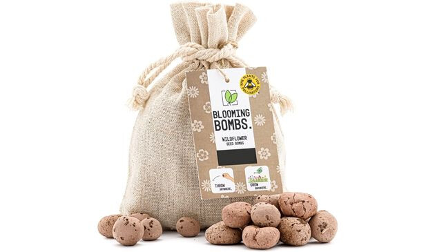Blooming Bombs Wildflower Seed Bombs