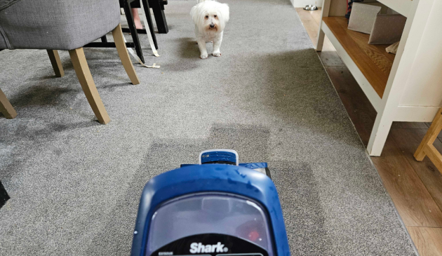 Shark CarpetXpert Ex150 Series