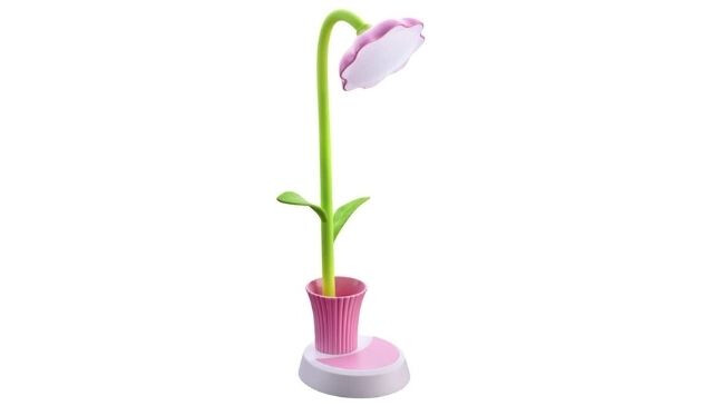 Kids LED Desk Lamp