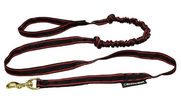 Arctic Wolf dog lead