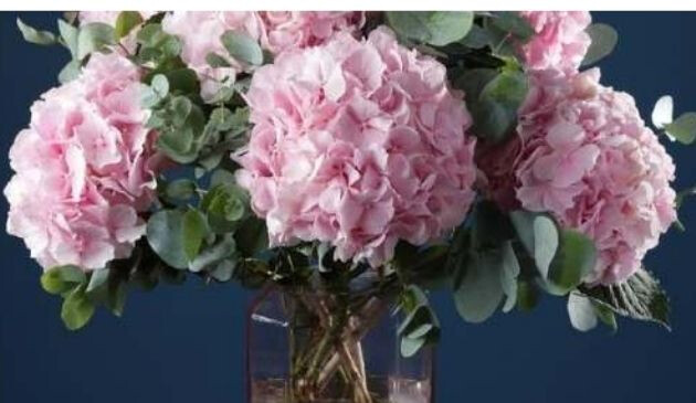 Arena flower delivery