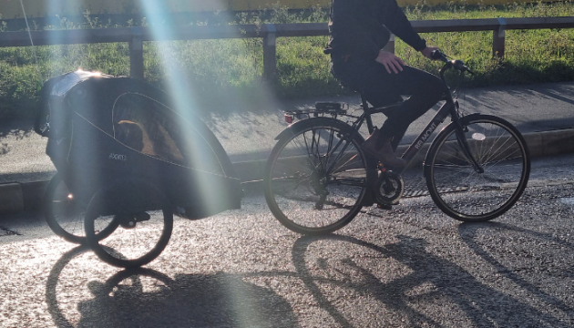 Axkid Grand Tour bike trailer