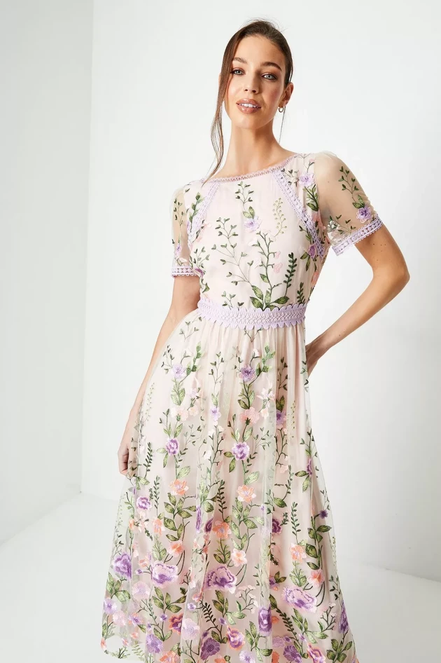 Coast Lace Trim Detail Embroidered Mesh Midi Dress