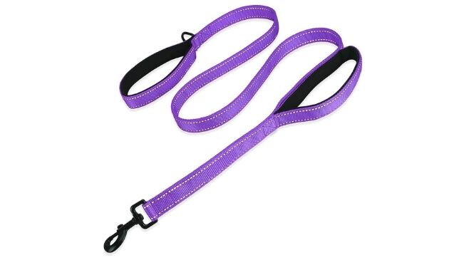 Belababy dog lead