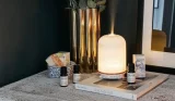 Best oil diffusers