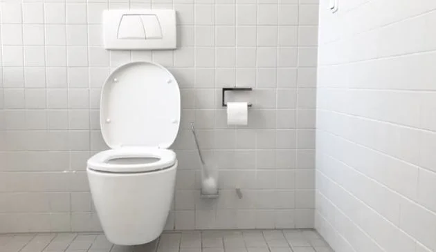 Best toilet brush