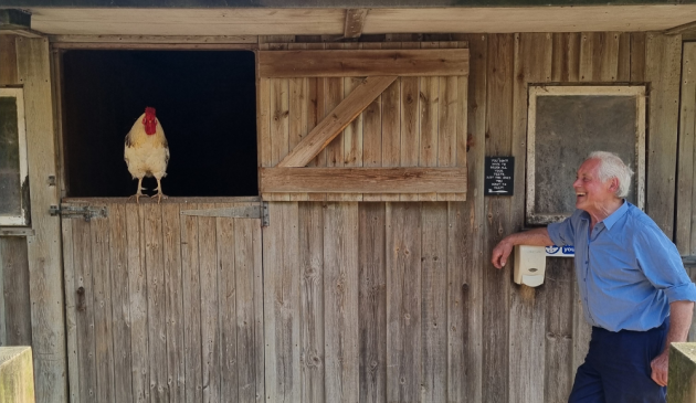 Farmer Dave and cockerel at Bosinver farm