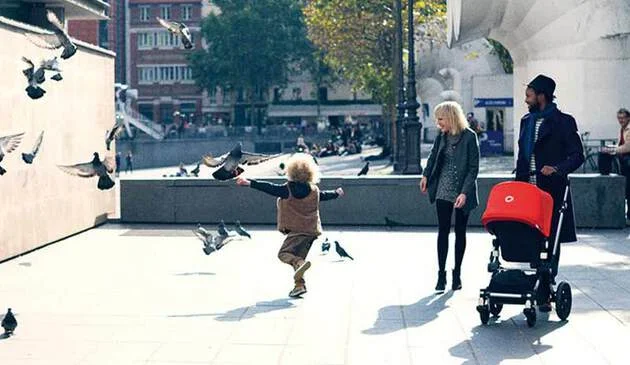 Bugaboo cameleon 3