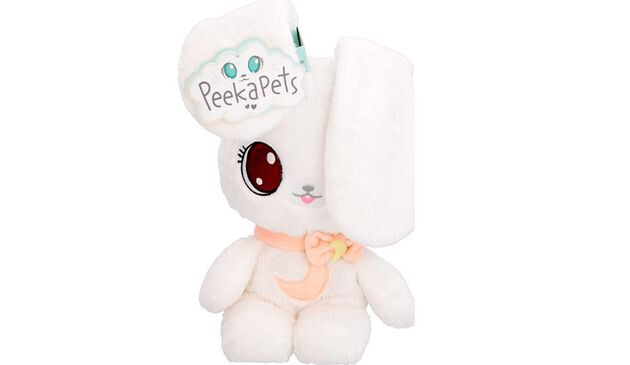 Peek A Pet Bunny