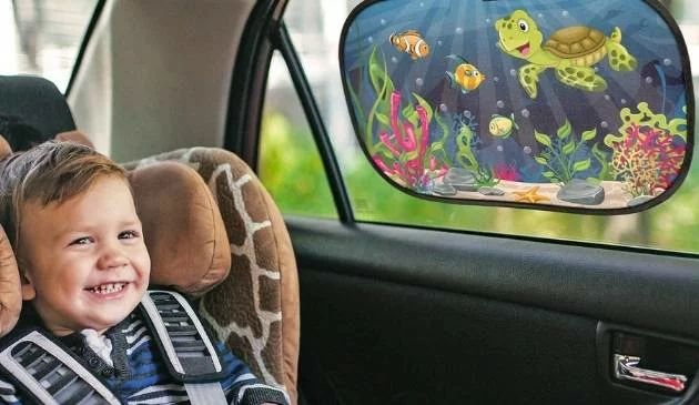 child in car seat with car sunshade in the window