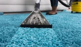 Best carpet shampoo