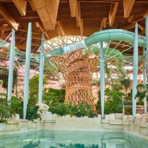 Center Parcs Villages Nature Paris pool