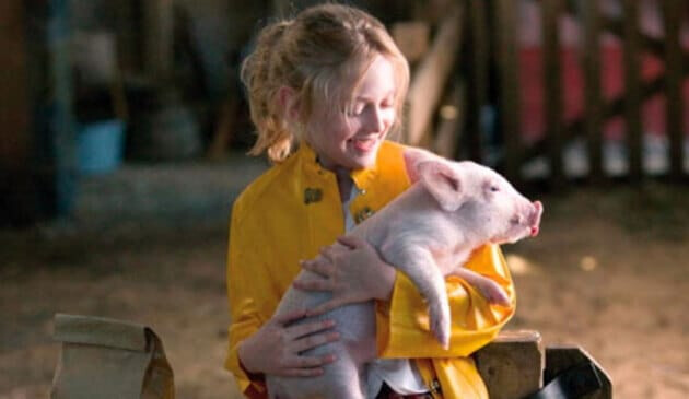 Charlottes Web