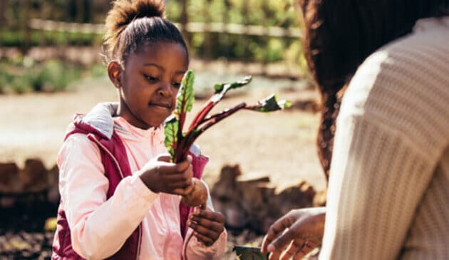 Girl holding freshly picked salad leaves
