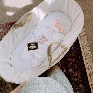 Clair de lune moses basket from above