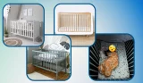best cot bed