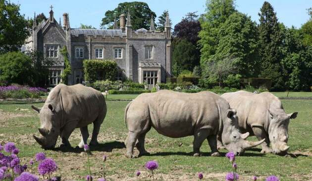 cotswold wildlife park