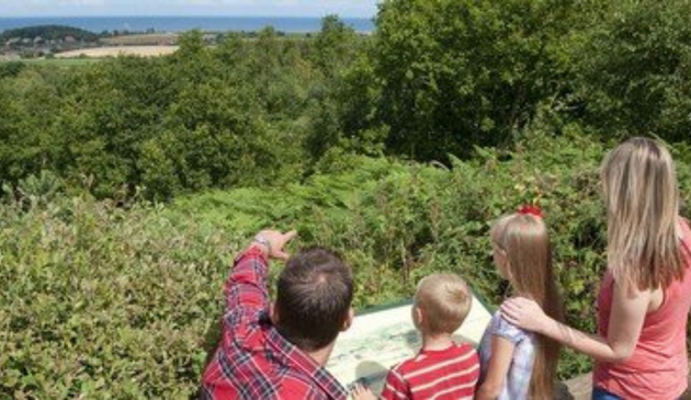 a family of four looking at a map by woodland
