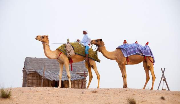 Dubai desert safari