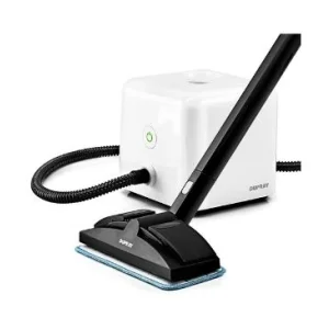 dupray neat steam cleaner