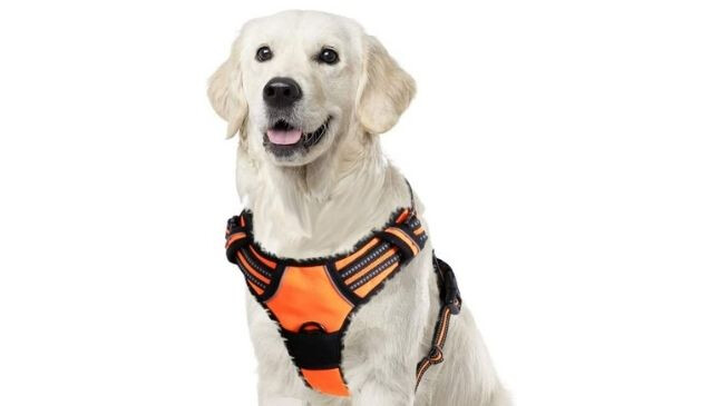 Eagloo dog harness