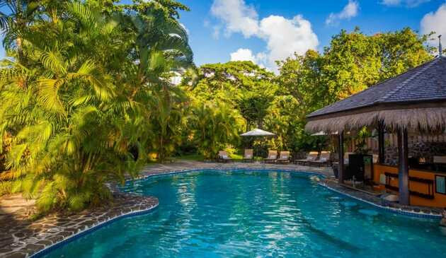 Pool and palm trees at East Winds