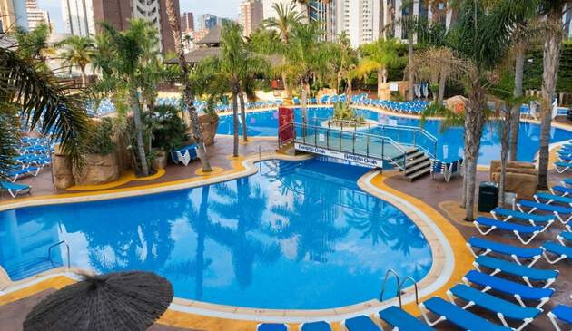 Picture of Flamingo Oasis' outdoor pool.