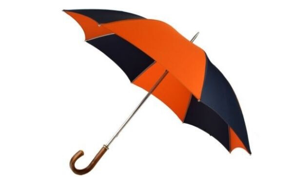 Fox umbrella