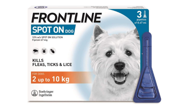 Frontline