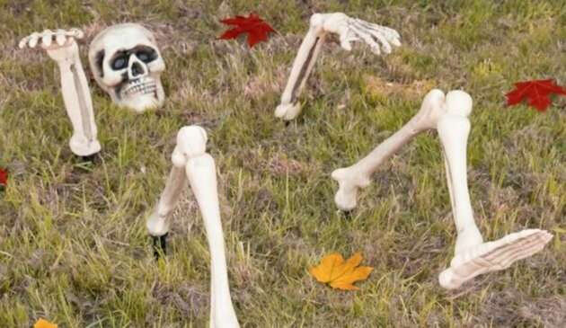 Halloween skeleton decoration