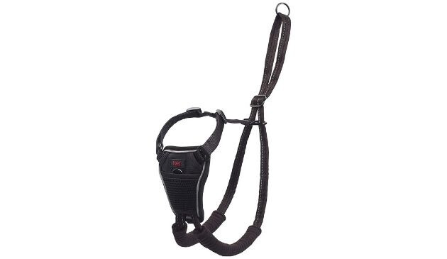 Halti dog harness