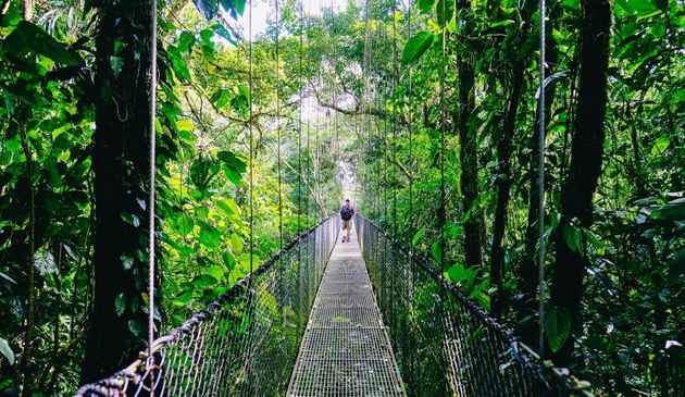 A hanging bridge through a forest in Costa Rica