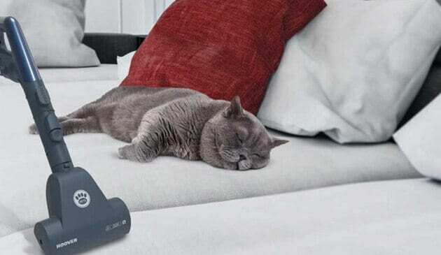 Telios hoover and cat