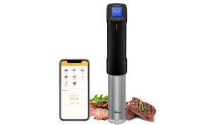 Inkbird Sous Vide
