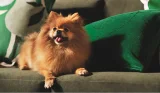 Win a £500 John Lewis Partnership e-Gift card