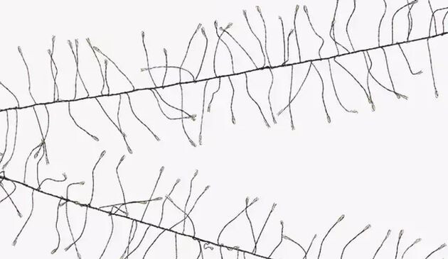 John Lewis Vine Lights