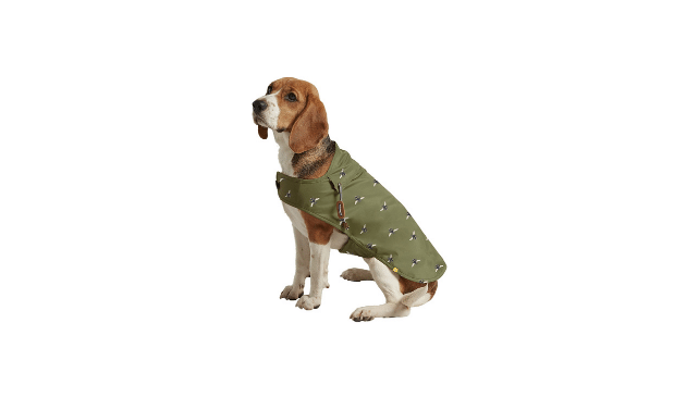 Joules bee print