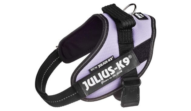 Julius K9 dog harness